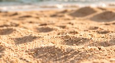 Firm sand by the water